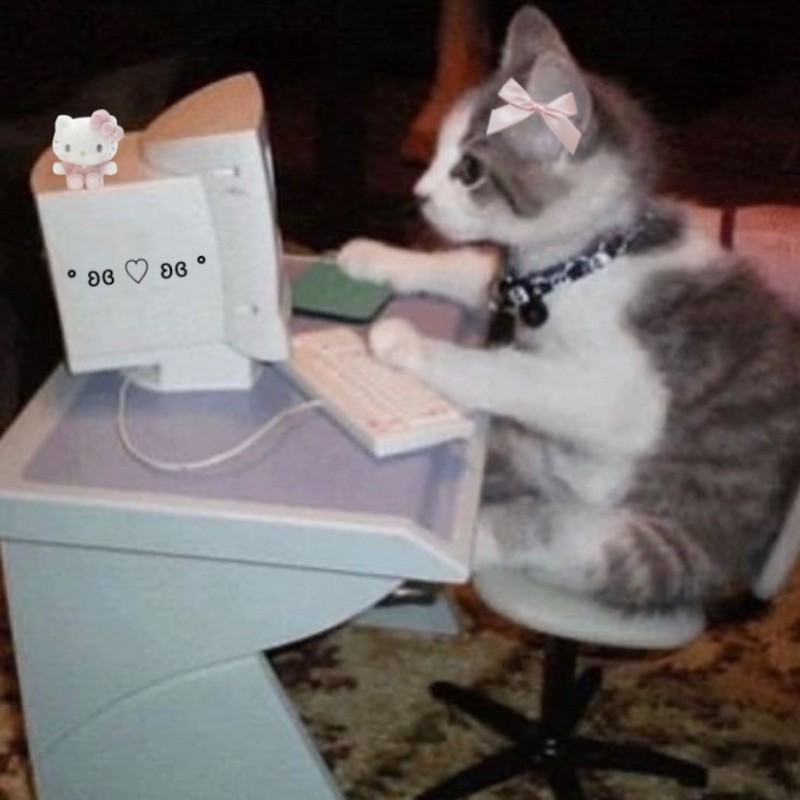 Create meme: cat at the computer, a cat with a computer, cat computer