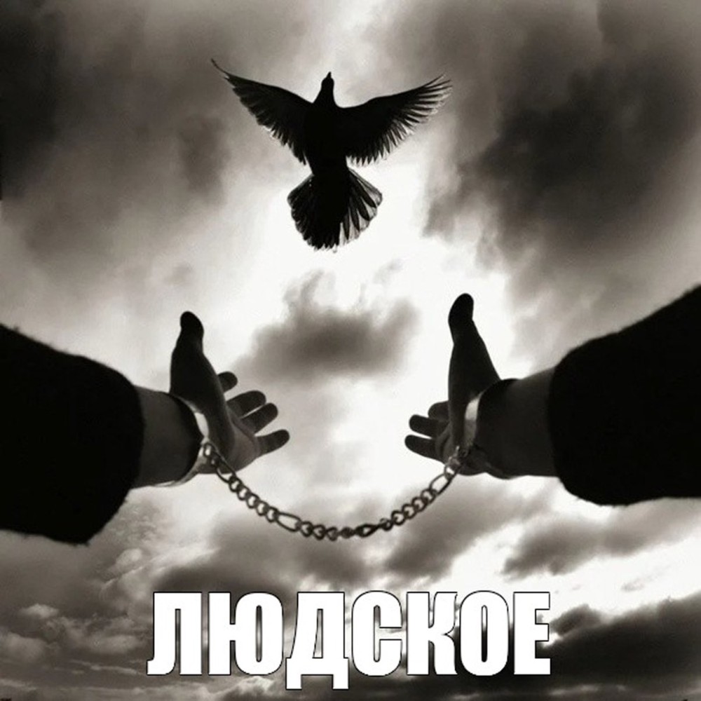 Create meme: hands in shackles, Freedom is paradise, the share of thieves