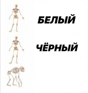 Create meme: model of human skeleton, the dummy skeleton, human skeleton