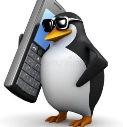 Создать мем: мемасики смешные, мем пингвин, пингвин с телефоном мем