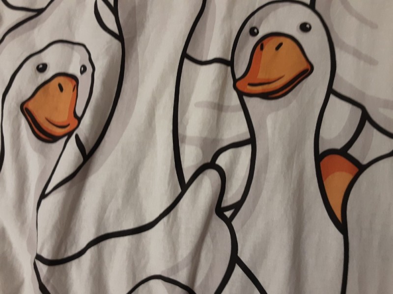 Create meme: bed linen set, duck illustration, duck 