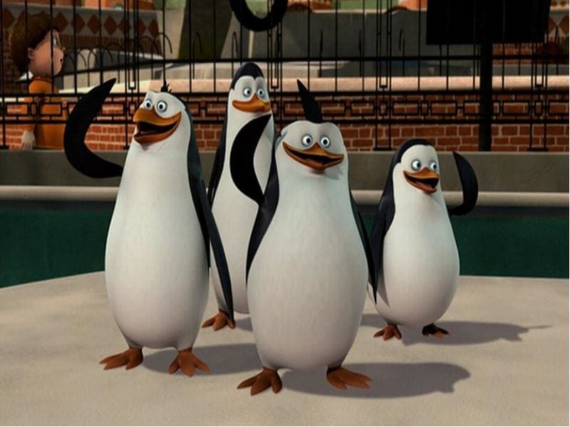 Создать мем: пингвины мадагаскара улыбаемся и машем, шкипер пингвины из мадагаскара, пингвины мадагаскара ковальски