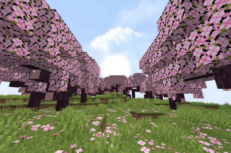 Create meme: Cherry Biome minecraft 1 20, new biome in minecraft 1 20, cherry Grove minecraft