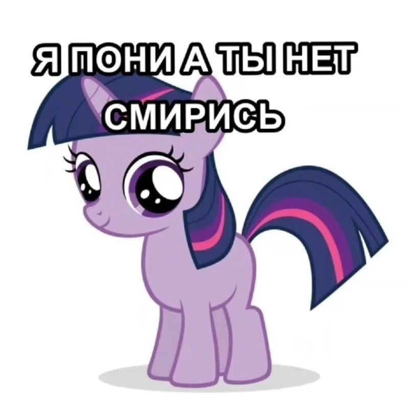 Create meme: my little pony twilight sparkle, pony twilight sparkle, twilight sparkle pony