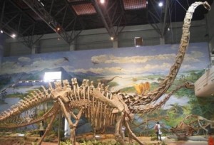 Создать мем: mamenchisaurus hochuanensis, музей динозавров в китае, цзыгунский музей динозавров