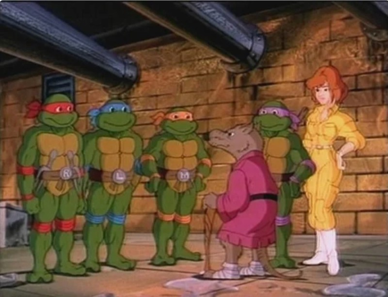 Create meme: teenage mutant ninja turtles are funny, photos of ninja turtles, characters ninja turtles