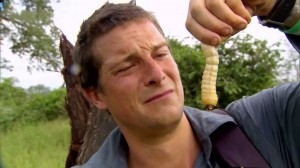 Create meme: to survive at any cost, insects, bear Grylls