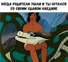 Create meme: the kidnapping of Mowgli cartoon 1968, Mowgli meme, when Mowgli left with his udavum