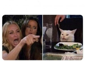 Create meme: the meme with the cat at the table, meme with a cat and two women, the meme with the cat and the girls