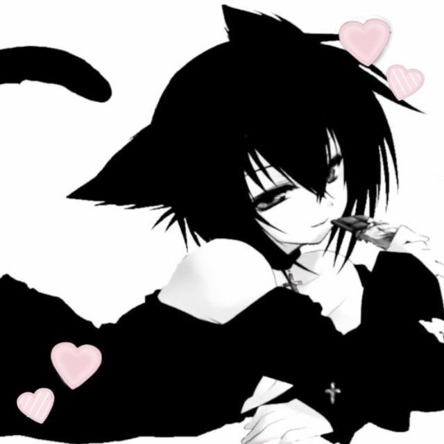 Создать мем: аниме черное, аниме кошки, аниме кошки девушки