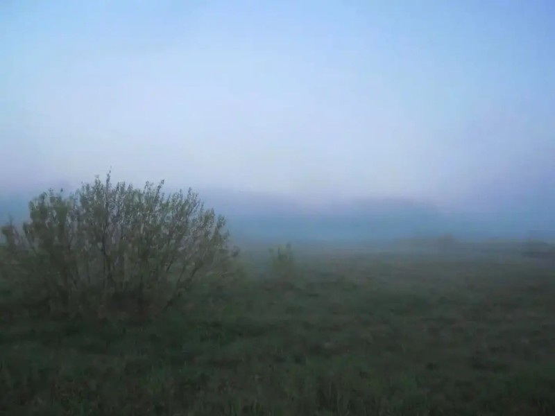 Create meme: Into the fog, field in the fog