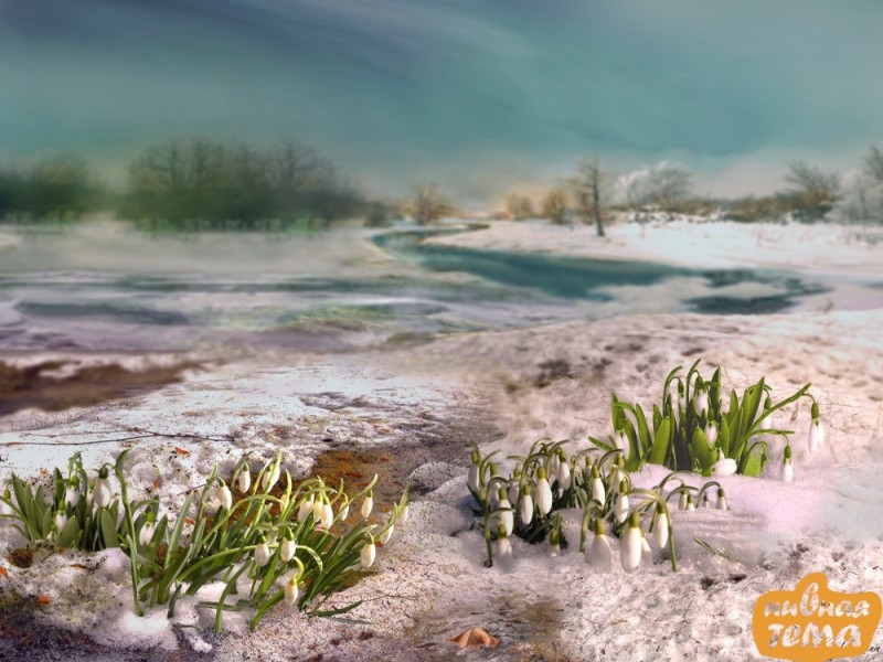 Create meme: early spring, spring thawed snowdrops nature, spring spring