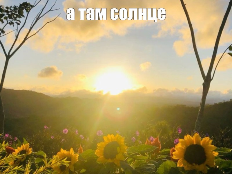 Create meme: nature , nature sunshine, summer sun