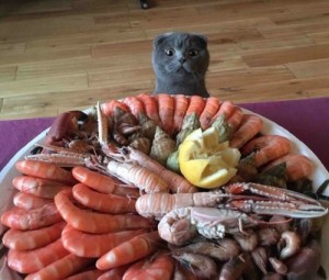 Create meme: hungry, seafood, seafood