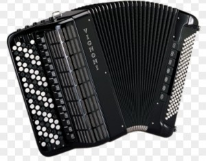 Create meme: accordion, accordion, Bayan