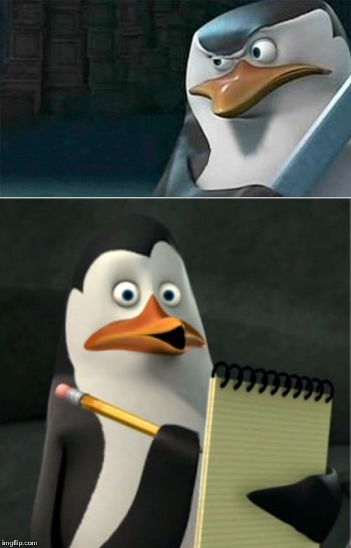 Create meme: penguins of Madagascar skipper, the penguins of Madagascar Kowalski, the penguins of Madagascar Kowalski