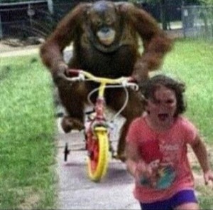 Create meme: funny pictures, people, monkey on a bike meme