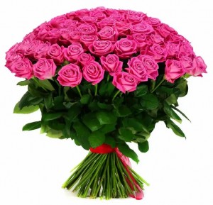 Create meme: 51 rose Aqua, 101 rose pink Floyd, a bouquet of roses 51 roses