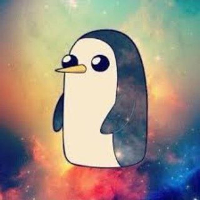 Create meme: beautiful penguin, ganter wenk, cool penguin