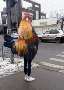 Create meme: podvoroty, rooster, rooster