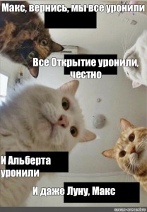 Meme max. Макс Вернись. Мы всё уронили Мем коты. Наташа мы все уронили коты Мем. Макс Вернись в нашу стаю.