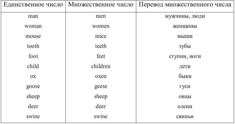 Фотографии в множественном числе на английском