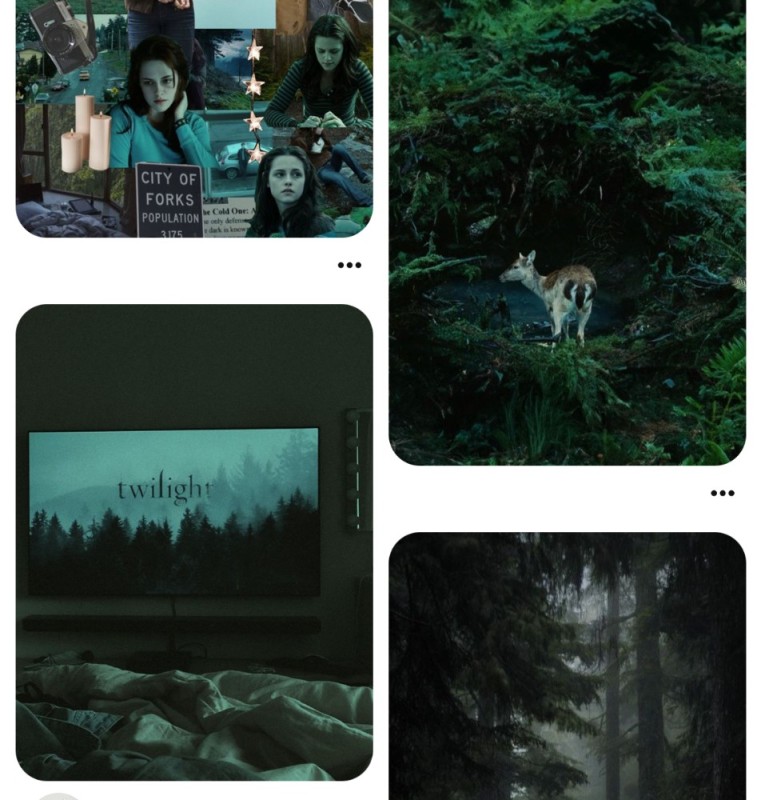 Create meme: dark nature, Twilight forest, wild nature