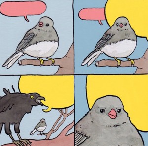Создать мем: воробей мем, воробей и ворона мем, мем с птицей