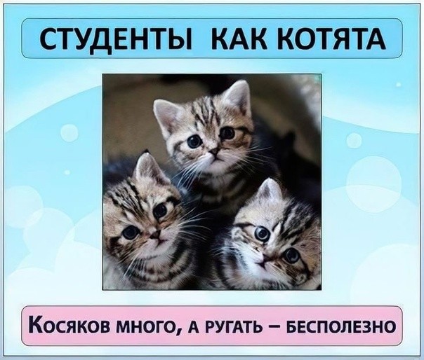 Создать мем: котиков, кошка, полосатые котята