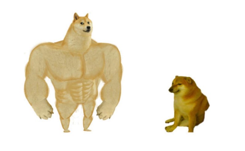 Create meme: doge meme Jock, shiba inu meme jock, the pumped-up dog from memes