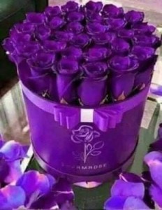Create meme: purple roses