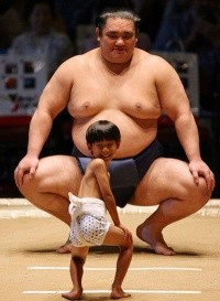 Create meme: sumo wrestler, sumo wrestlers are funny, sumo