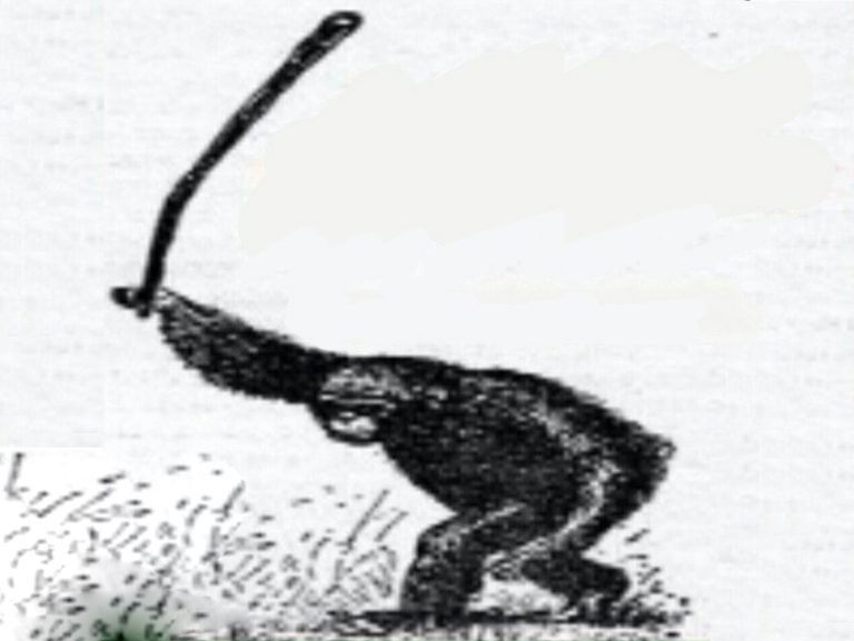 Create meme: a monkey with a stick, Bund monkey, monkey riot