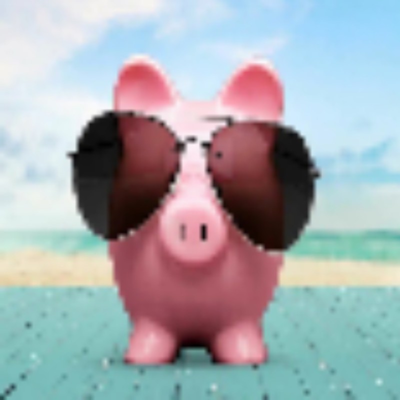 Create meme: pig with glasses, piggy with glasses, pig in sunglasses