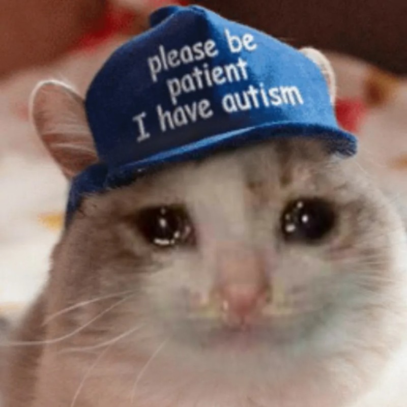 Create meme: please be patient i have autism, please be patient i have autism kepka, be patient i have autism