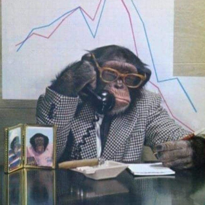 Create meme: monkey spy, chimpanzees , monkey in the office