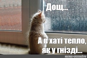 Create meme: rainy window, kitty waiting at window, window rain