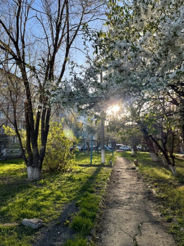 Create meme: Lenin yablonya Park, Spring in the city, spring 