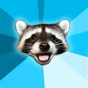 Create meme: memes, lame, raccoon