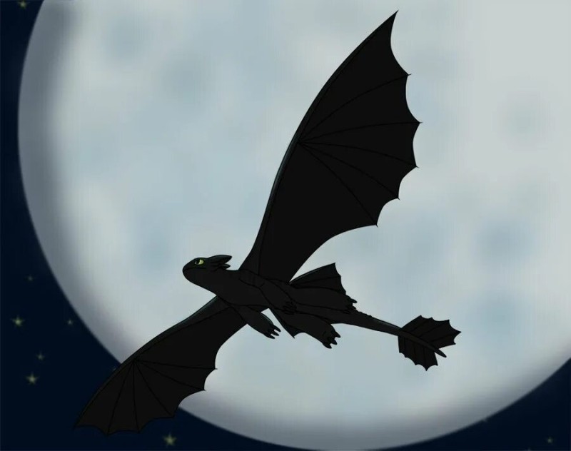 Create meme: the night fury , fury and toothless, dragon night fury