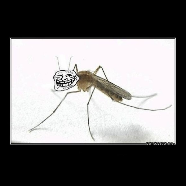 Create meme: the mosquito , the mosquito joke, mosquito meme