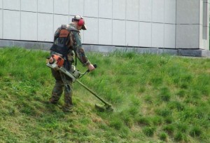 Create meme: mowing grass
