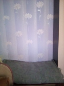 Create meme: sanpa curtains ecru, tulle t-796, tulle organza with flowers