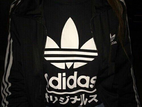 Create meme: adidas aesthetics, adidas clothing, adidas jacket