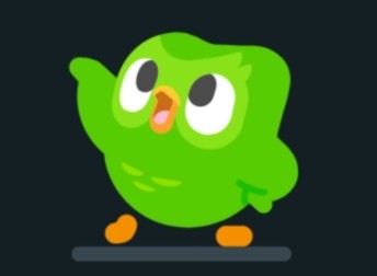 Create meme: owl duolingo, owl duolingo, duolingo characters