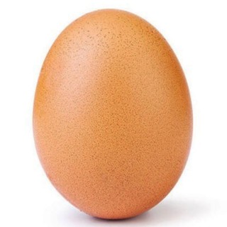 Create meme: egg , chicken egg, egg photo