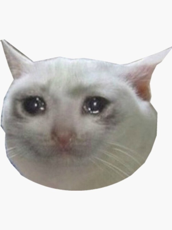 Создать мем: плачущие коты, плачущий кот из мема, мем грустный котик