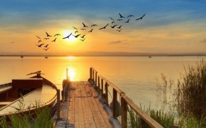 Create meme: peaceful landscape, sunset landscape, At dawn