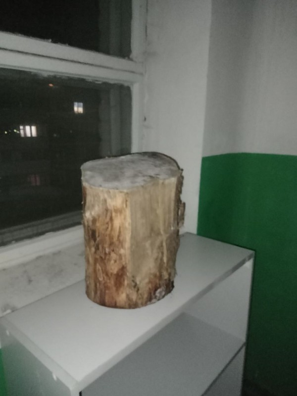 Create meme: birch stump, stump, stump deck