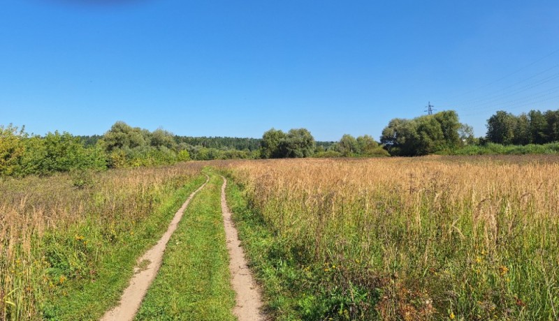 Create meme: meadow meadows, merchant Bobrov's mill protvino, plot